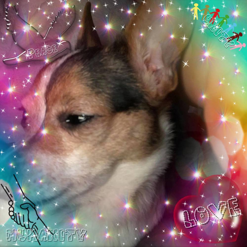 Meet your Posher, Shannon